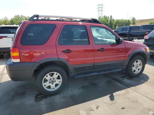 2005 Ford Escape XLT