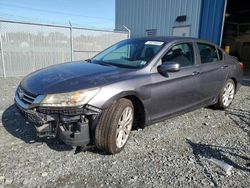 Honda salvage cars for sale: 2013 Honda Accord Touring