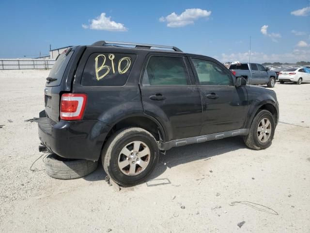 2011 Ford Escape Limited