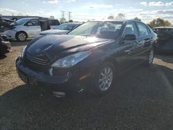 Salvage cars for sale at auction: 2003 Lexus ES 300