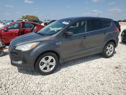 Salvage cars for sale at Temple, TX auction: 2016 Ford Escape SE