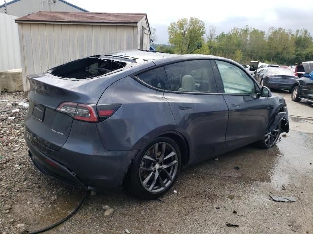 2020 Tesla Model Y