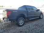 2024 Ford F150 XLT