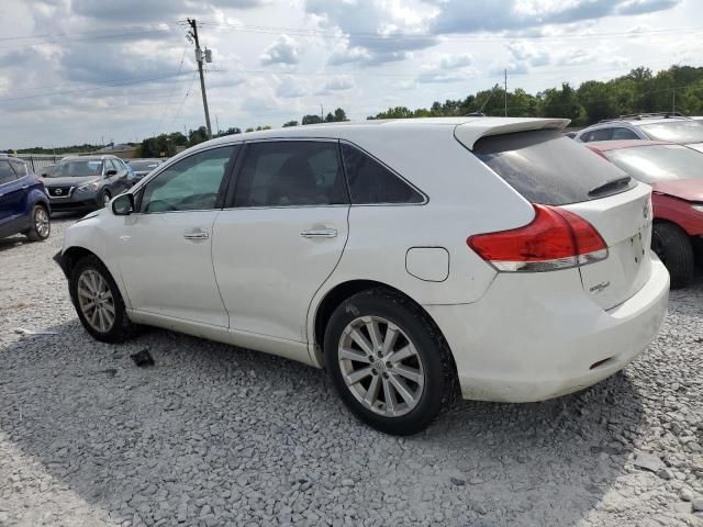 2010 Toyota Venza