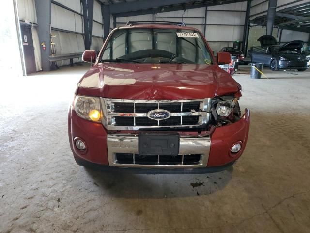 2011 Ford Escape Limited