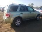 2009 Ford Escape Hybrid