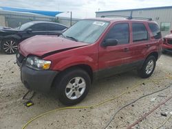 Salvage cars for sale at Arcadia, FL auction: 2007 Ford Escape XLT