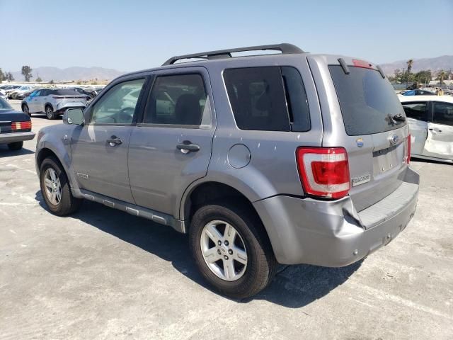 2008 Ford Escape HEV