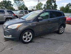 Salvage cars for sale at Bridgeton, MO auction: 2015 Ford Escape SE