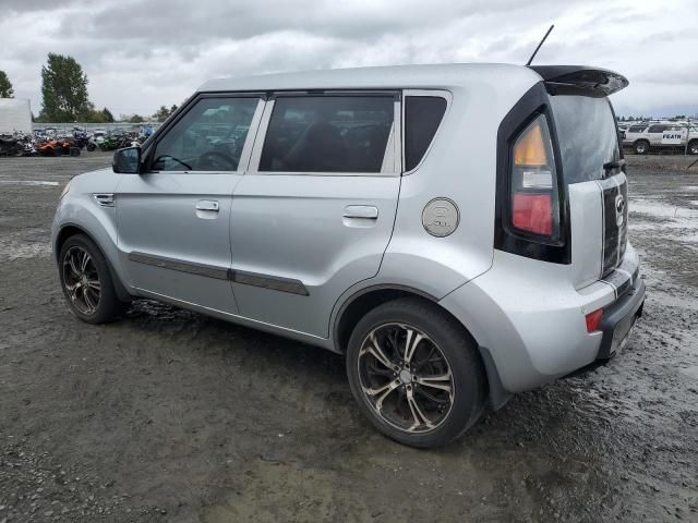 2010 KIA Soul +