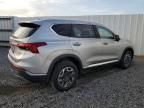 2023 Hyundai Santa FE Blue