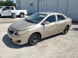 Salvage cars for sale at Apopka, FL auction: 2010 Toyota Corolla Base