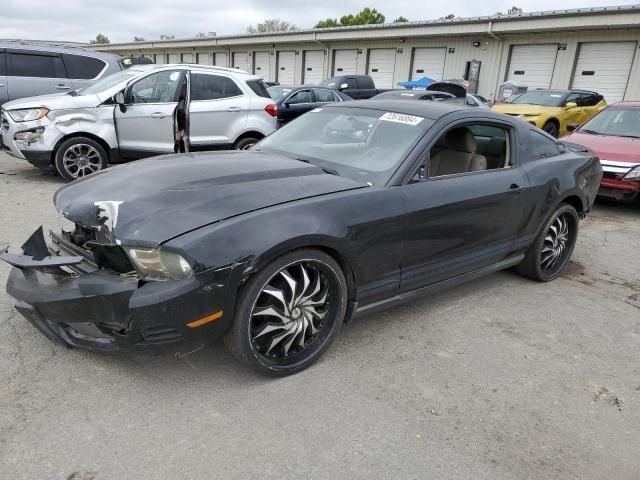 2010 Ford Mustang