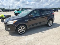 Salvage cars for sale at Arcadia, FL auction: 2013 Ford Escape SEL