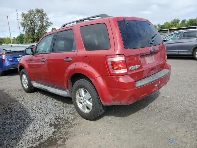 2010 Ford Escape XLT