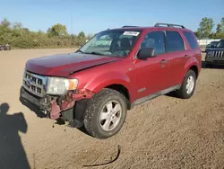 Ford Vehiculos salvage en venta: 2008 Ford Escape XLT