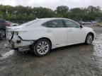 2013 Lexus ES 300H