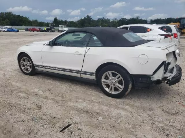 2010 Ford Mustang