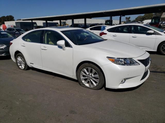 2013 Lexus ES 300H