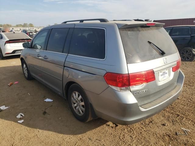 2008 Honda Odyssey EXL