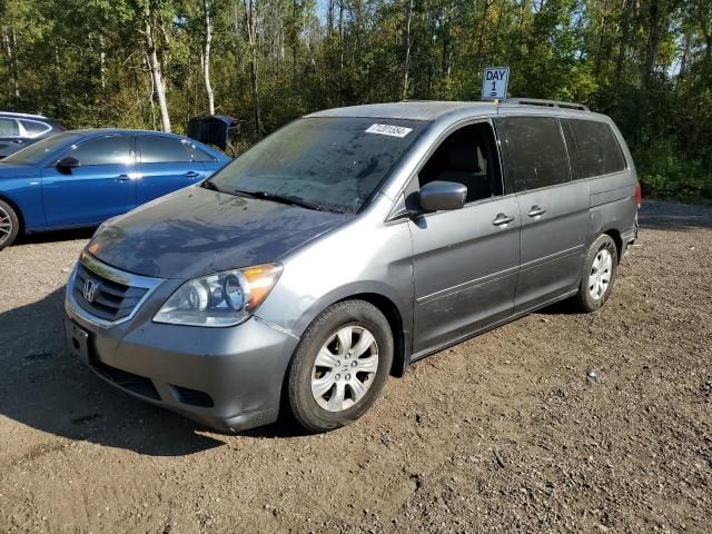 2009 Honda Odyssey EX