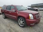 2010 Cadillac Escalade ESV Premium