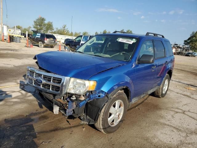 2011 Ford Escape XLT