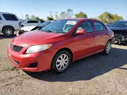 Toyota salvage cars for sale: 2009 Toyota Corolla Base