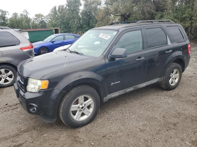 2009 Ford Escape Hybrid