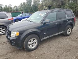 Ford salvage cars for sale: 2009 Ford Escape Hybrid