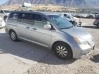 2010 Honda Odyssey EX