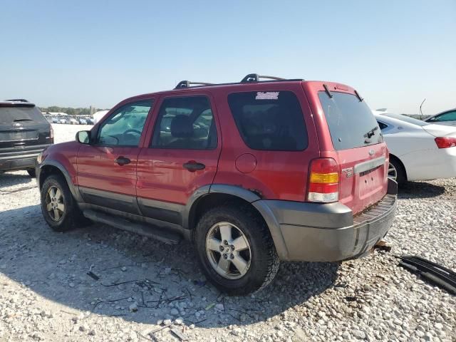 2006 Ford Escape XLT