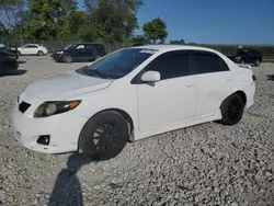 Salvage cars for sale at Cicero, IN auction: 2010 Toyota Corolla Base