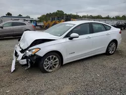 Salvage cars for sale at Hillsborough, NJ auction: 2019 Ford Fusion SE