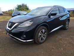 Salvage cars for sale at Kapolei, HI auction: 2023 Nissan Murano SV