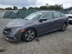 Honda Civic salvage cars for sale: 2019 Honda Civic LX