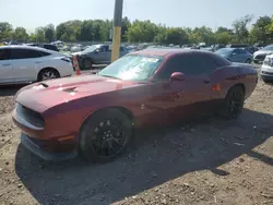 Salvage cars for sale at Chalfont, PA auction: 2019 Dodge Challenger R/T Scat Pack