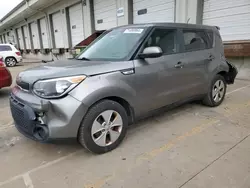 Salvage cars for sale at Louisville, KY auction: 2016 KIA Soul