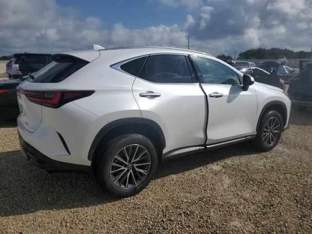 2023 Lexus NX 250