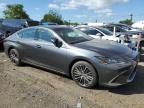 2024 Lexus ES 350 Base