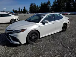 Toyota salvage cars for sale: 2021 Toyota Camry XSE