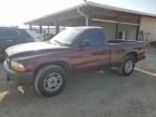 2003 Dodge Dakota SXT