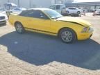 2005 Ford Mustang