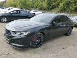 Acura salvage cars for sale: 2023 Acura TLX Type S PMC Edition