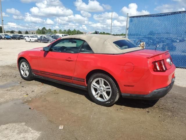 2010 Ford Mustang