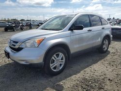 Honda salvage cars for sale: 2010 Honda CR-V EX