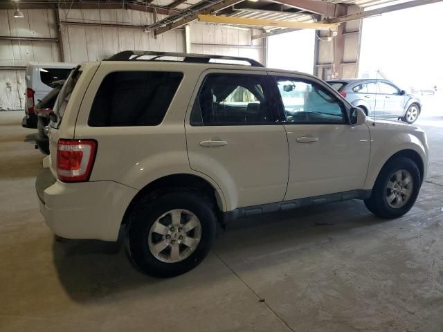 2010 Ford Escape Limited