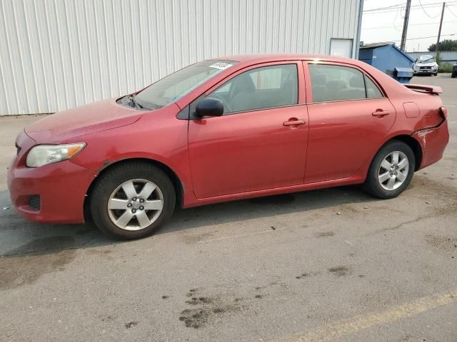 2010 Toyota Corolla Base