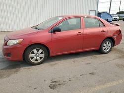 Salvage cars for sale at Nampa, ID auction: 2010 Toyota Corolla Base