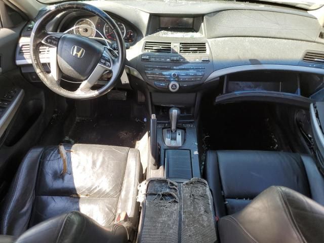 2009 Honda Accord EXL